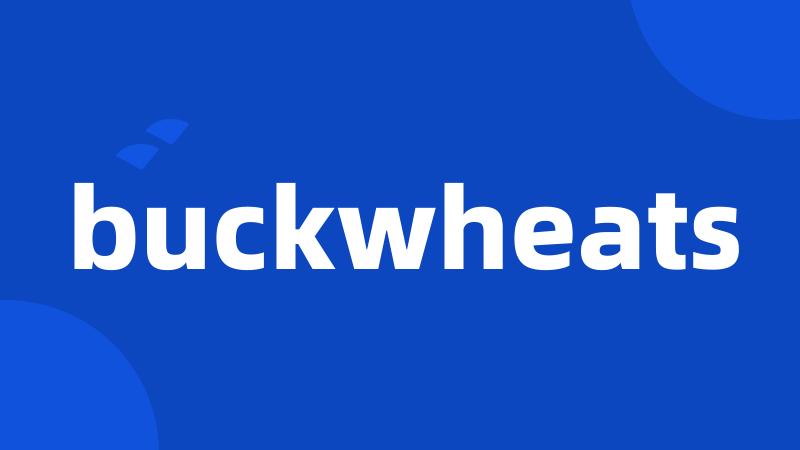 buckwheats