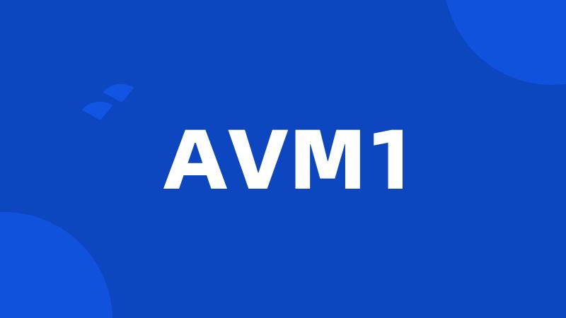 AVM1