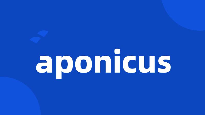 aponicus