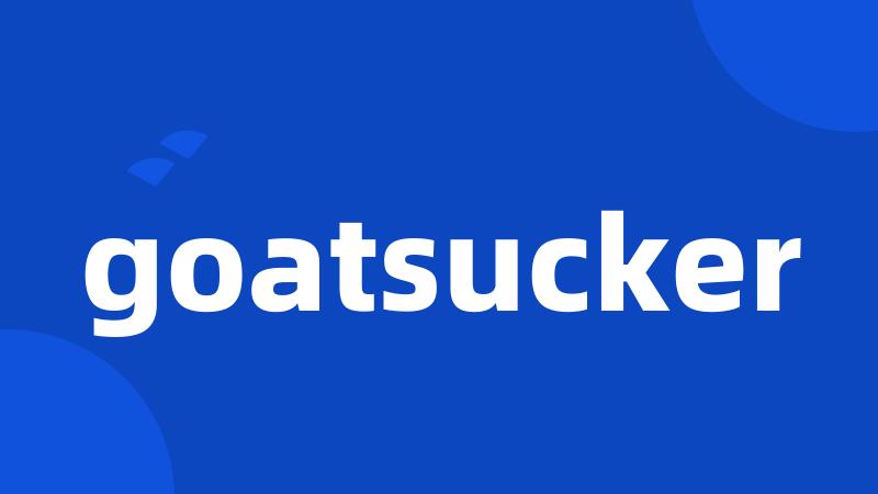 goatsucker