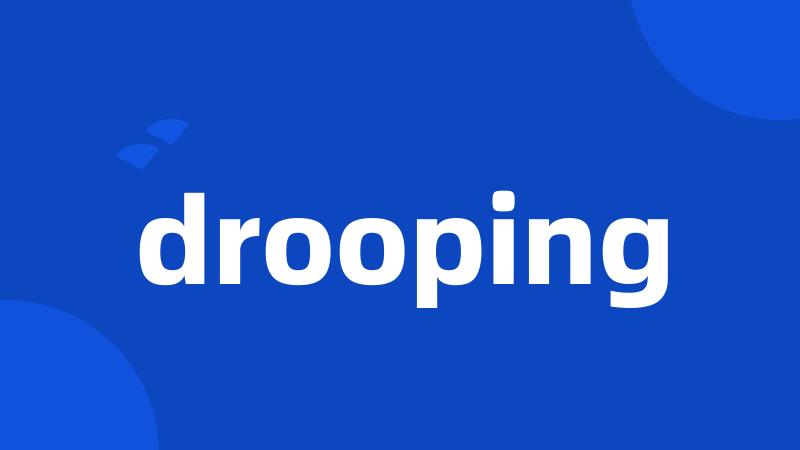 drooping