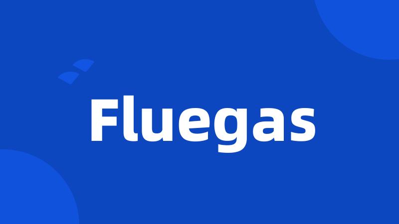 Fluegas