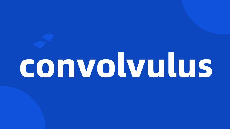 convolvulus