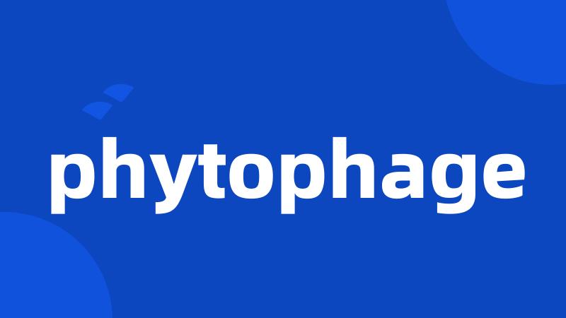 phytophage