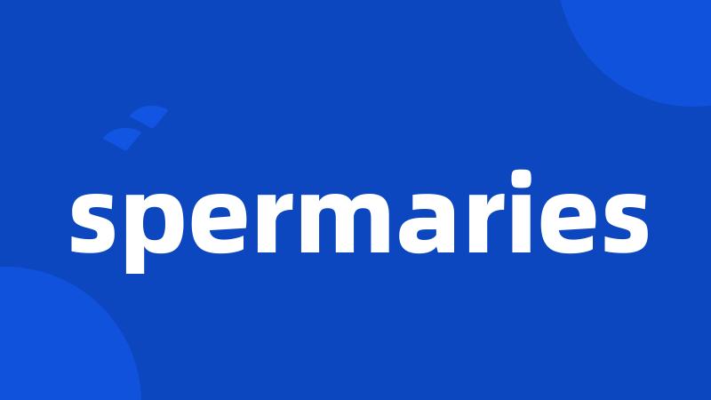 spermaries