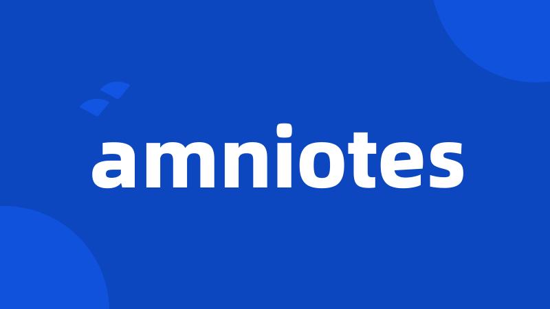 amniotes