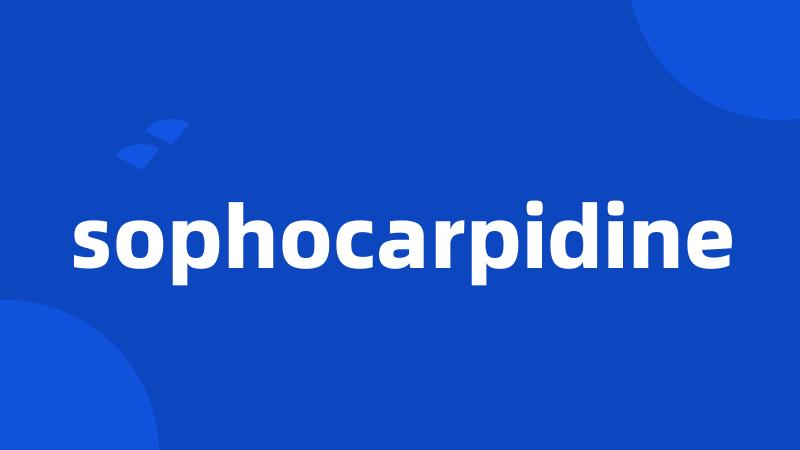 sophocarpidine