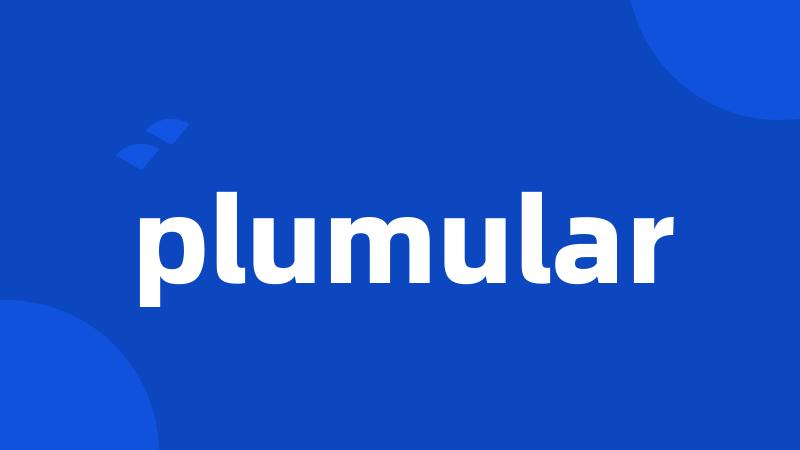 plumular