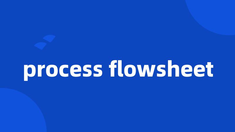 process flowsheet