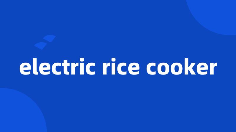 electric rice cooker