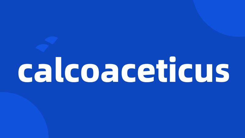 calcoaceticus