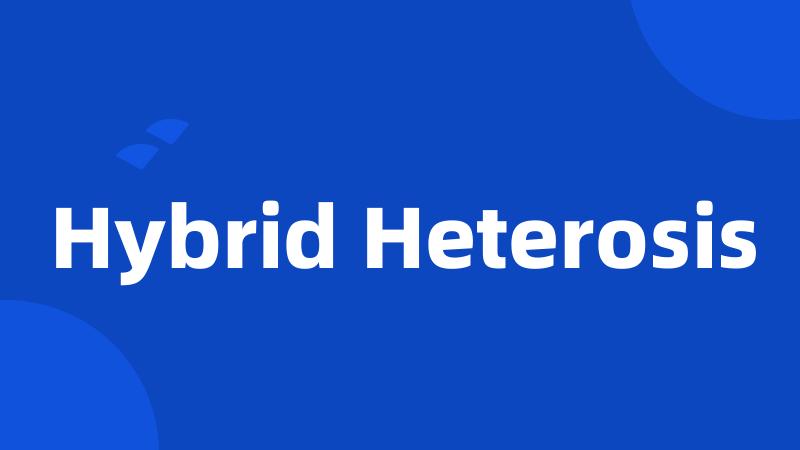 Hybrid Heterosis