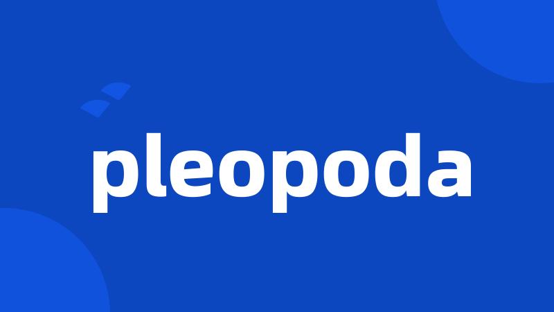 pleopoda