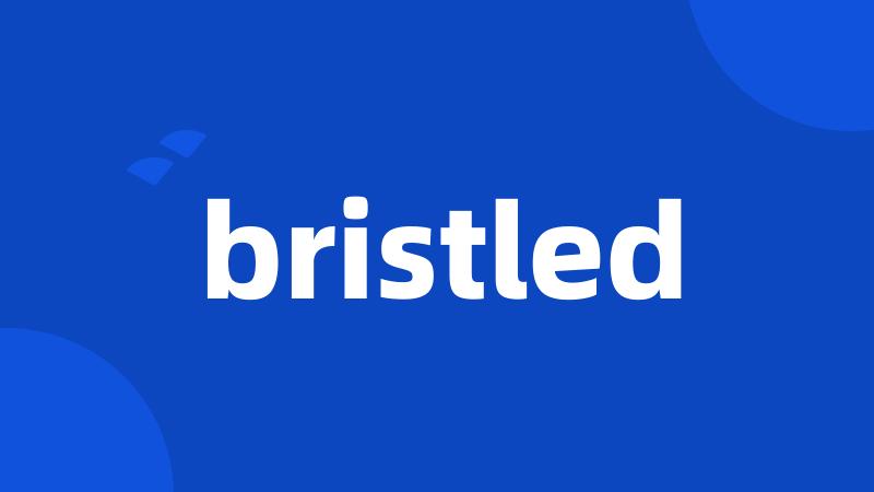 bristled