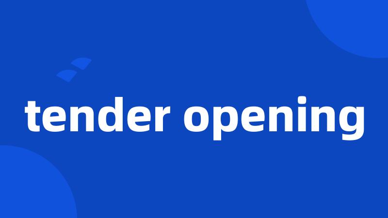 tender opening