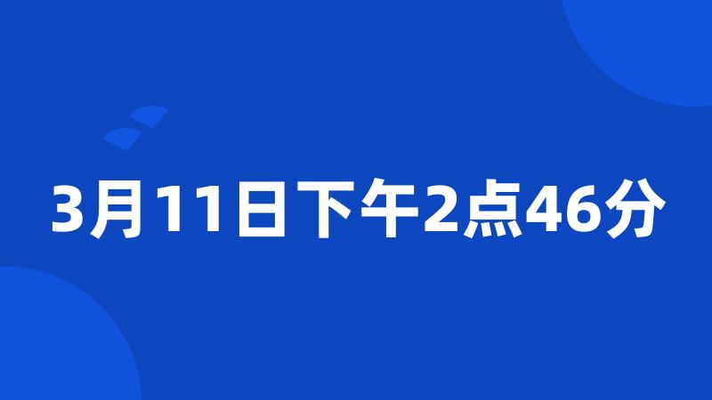 3月11日下午2点46分