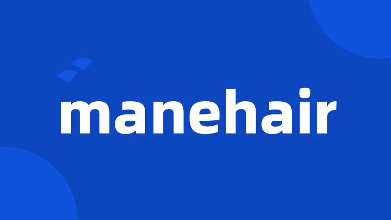 manehair