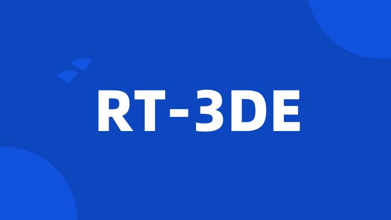 RT-3DE