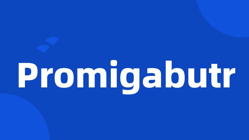 Promigabutr