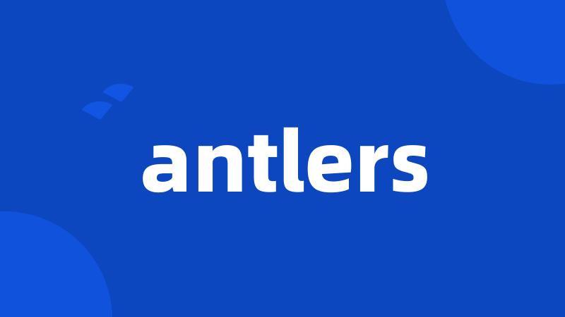 antlers