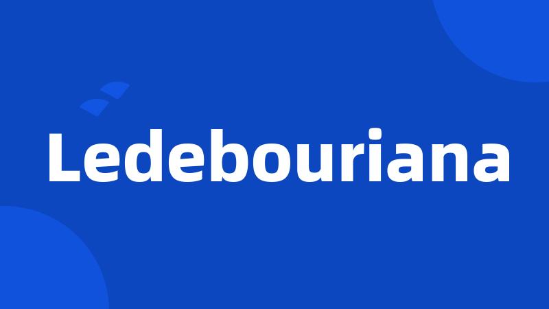 Ledebouriana