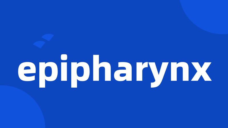 epipharynx