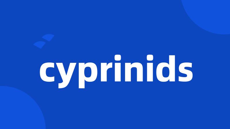 cyprinids