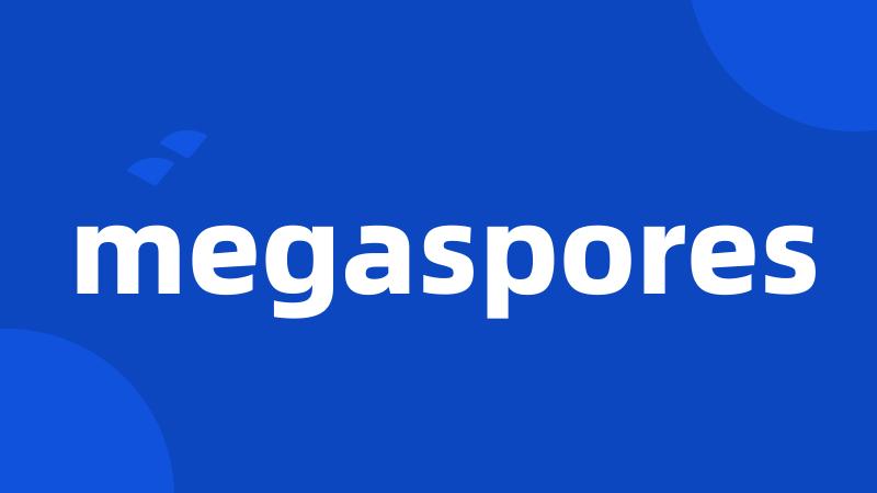 megaspores