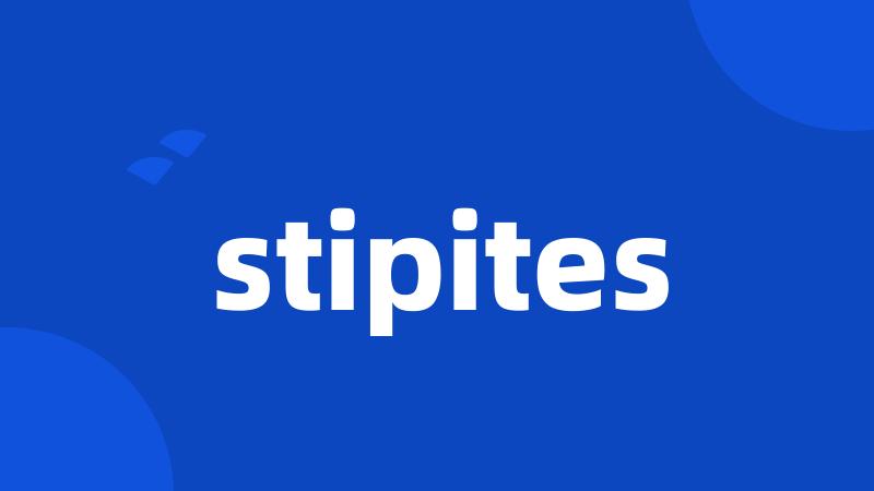 stipites