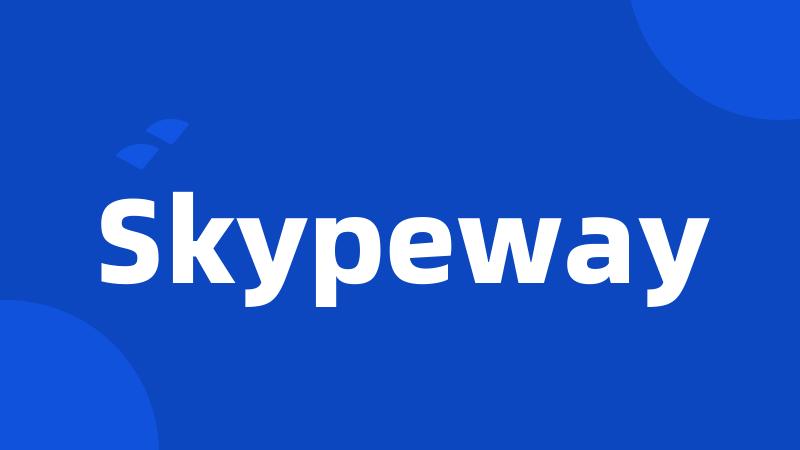 Skypeway