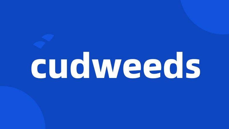 cudweeds