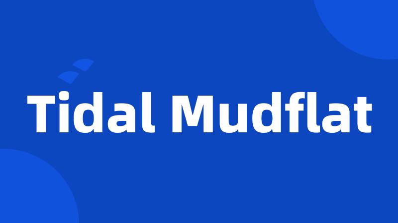 Tidal Mudflat