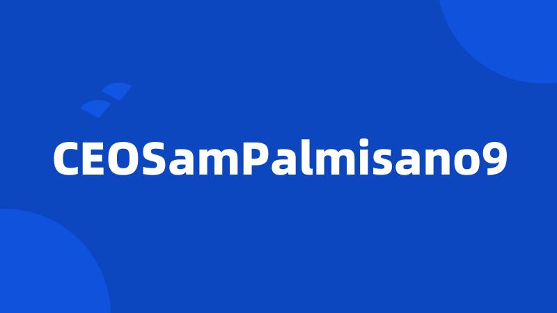 CEOSamPalmisano9