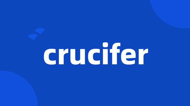 crucifer