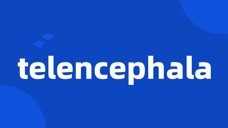 telencephala