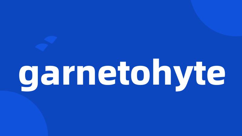 garnetohyte