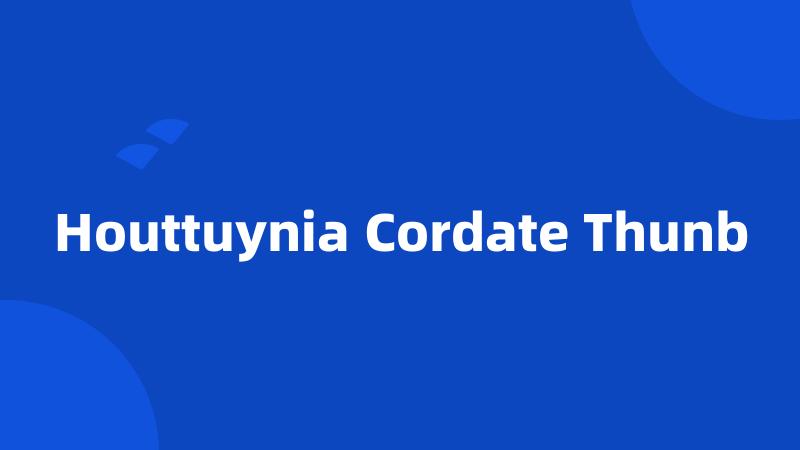 Houttuynia Cordate Thunb