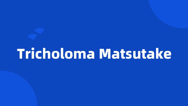 Tricholoma Matsutake