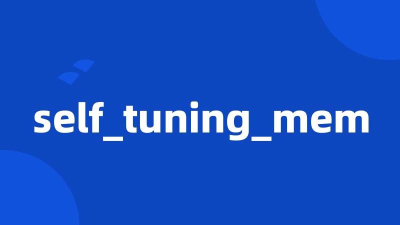 self_tuning_mem