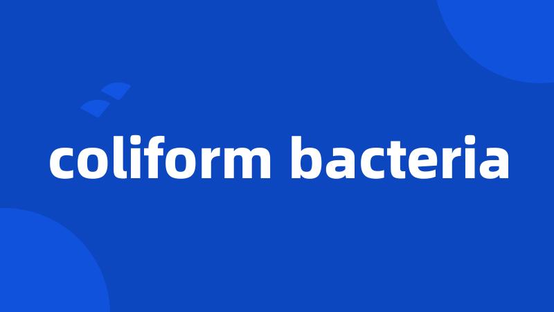 coliform bacteria