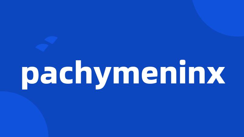 pachymeninx