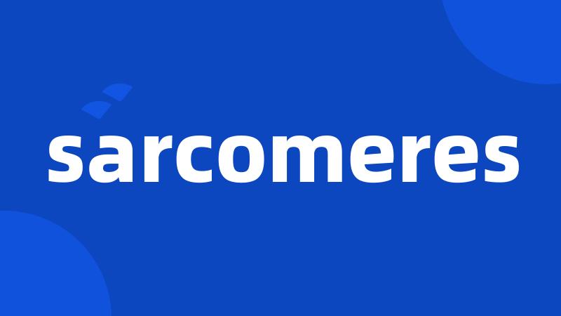 sarcomeres