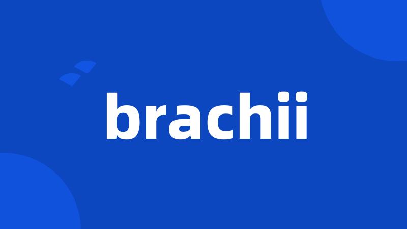 brachii