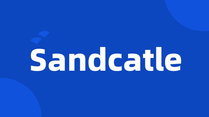 Sandcatle