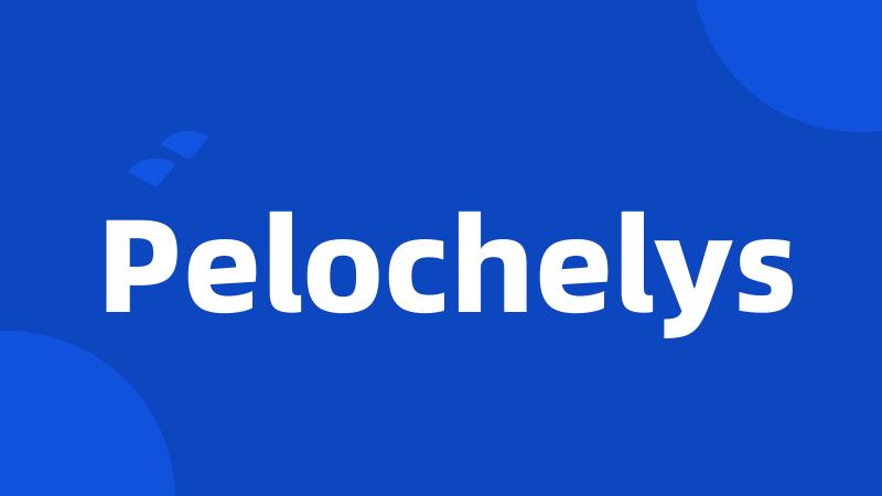 Pelochelys