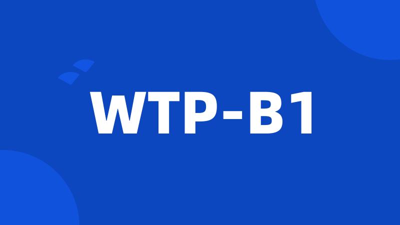 WTP-B1