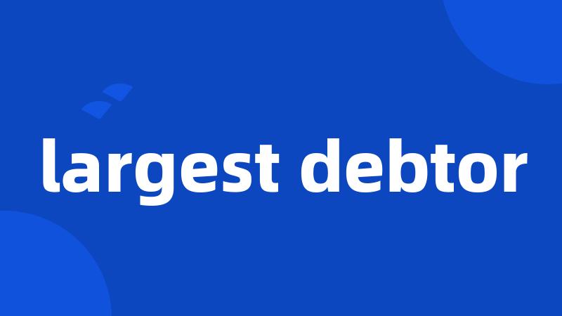 largest debtor