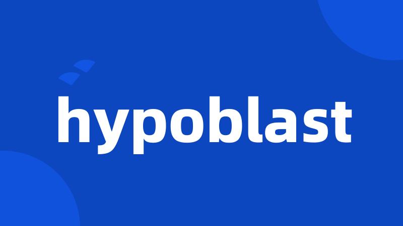 hypoblast