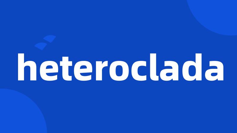 heteroclada