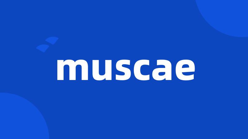 muscae